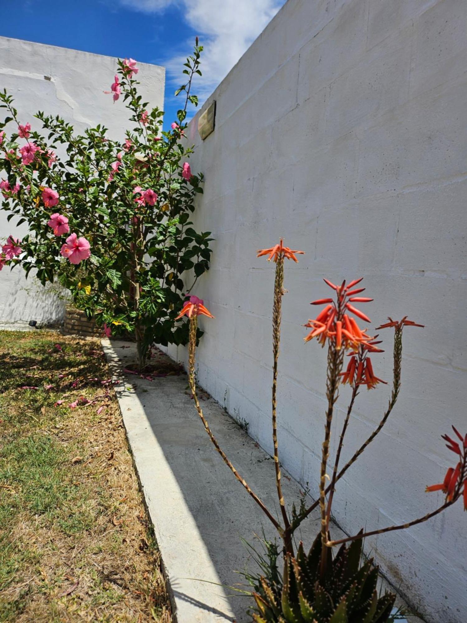 Villa Nonina Chiclana de la Frontera Exterior photo